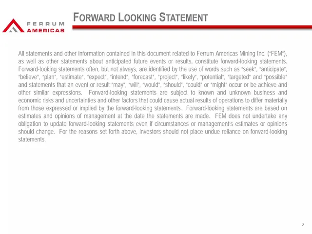 Disclaimer slide 2 from Ferrum Americas