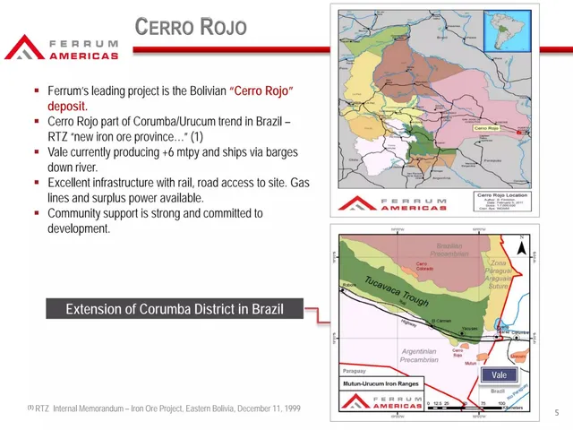 Market analysis / overview slide 5 from Ferrum Americas