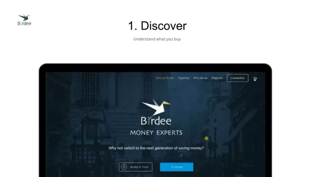 Section divider slide 6 from Birdee
