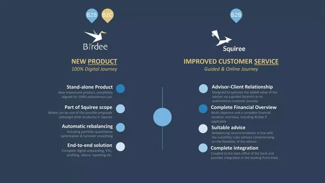 Product / solution slide 11 from Birdee