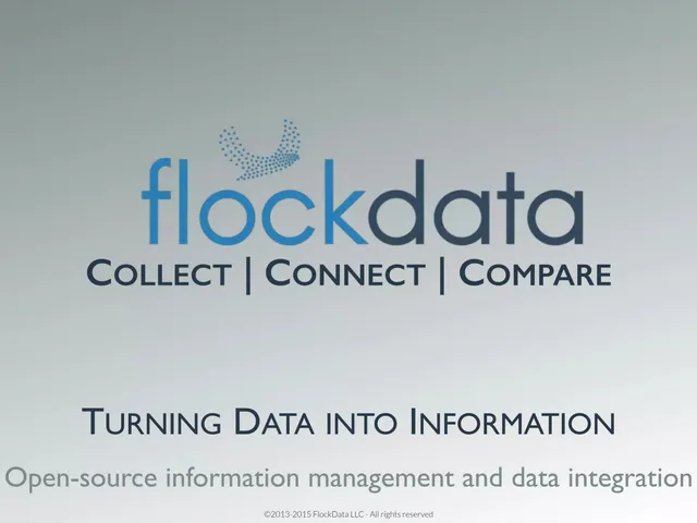 FlockData pitch deck cover