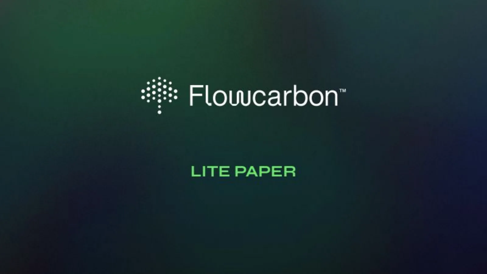 Flowcarbon pitch deck slide