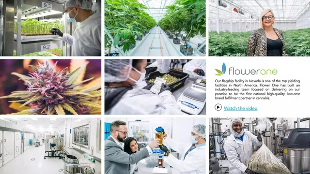 Company overview slide 3 from Flower One