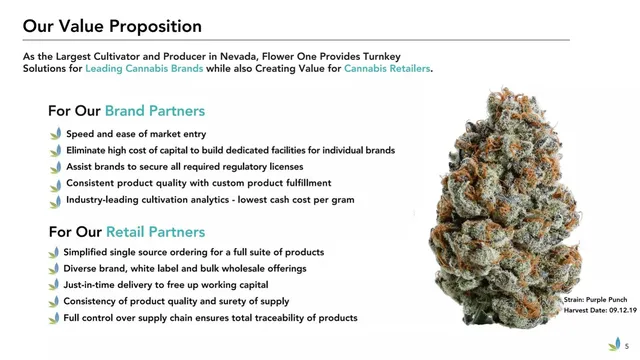 Product / solution slide 5 from Flower One