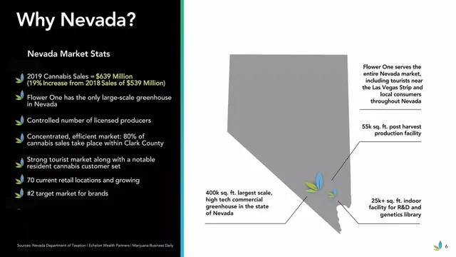 Market analysis / overview slide 6 from Flower One Holdings