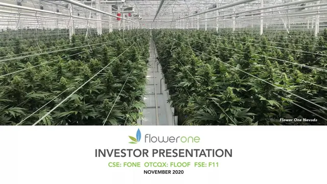 Flower One Holdings pitch deck cover