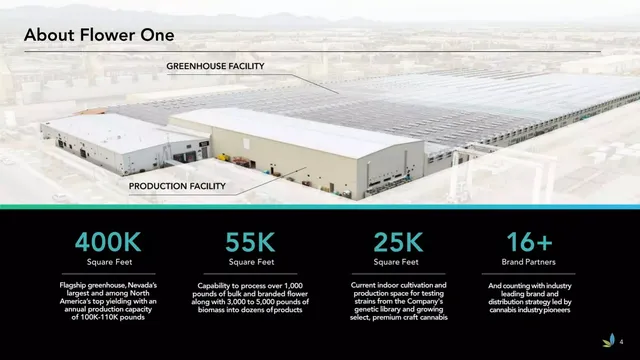 Company overview slide 4 from Flower One Holdings