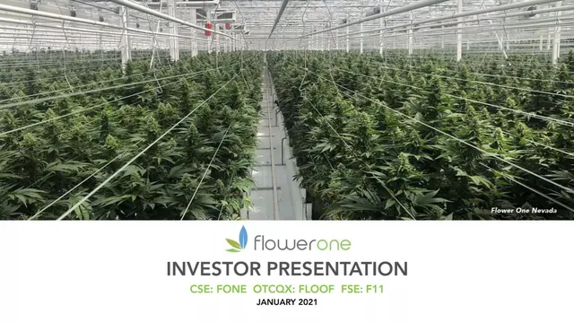Flower One Holdings Inc. pitch deck cover
