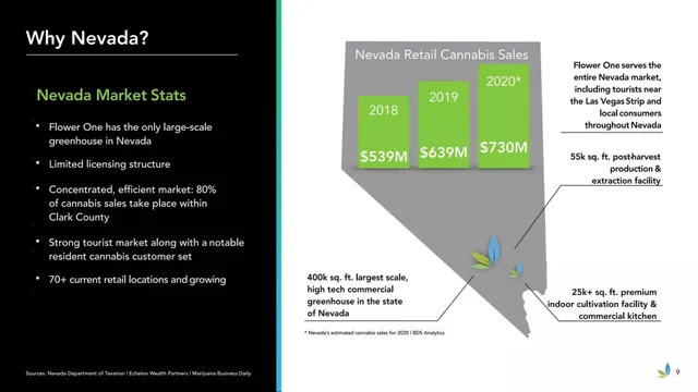 Market analysis / overview slide 9 from Flower One Holdings Inc.