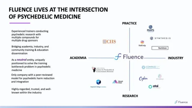 Company overview slide 10 from Fluence