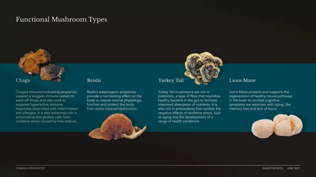 Product / solution slide 4 from Forage Hyperfoods Inc