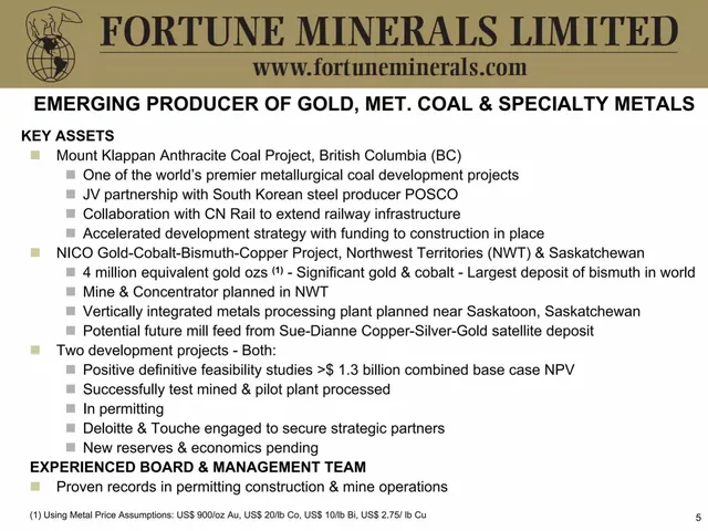 Company overview slide 5 from Fortune Minerals