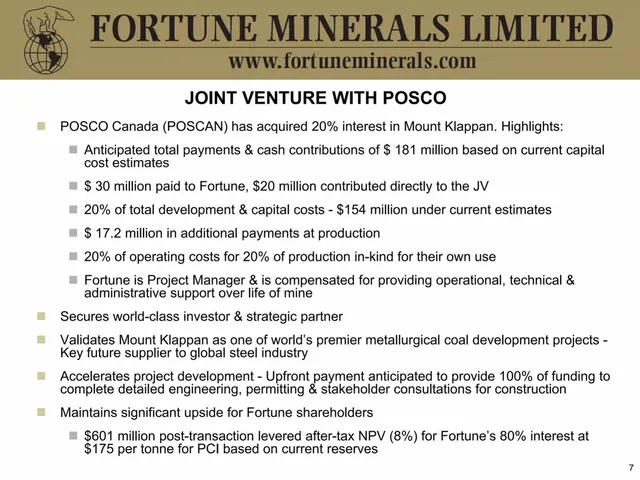 Traction slide 7 from Fortune Minerals