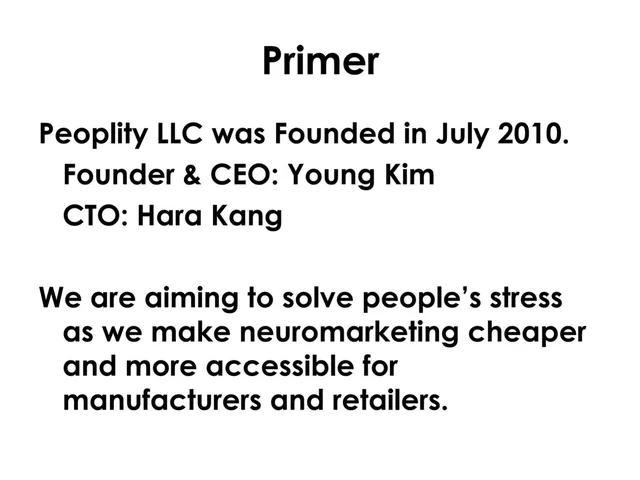 Company overview slide 2 from FounderSchool (Peoplity)