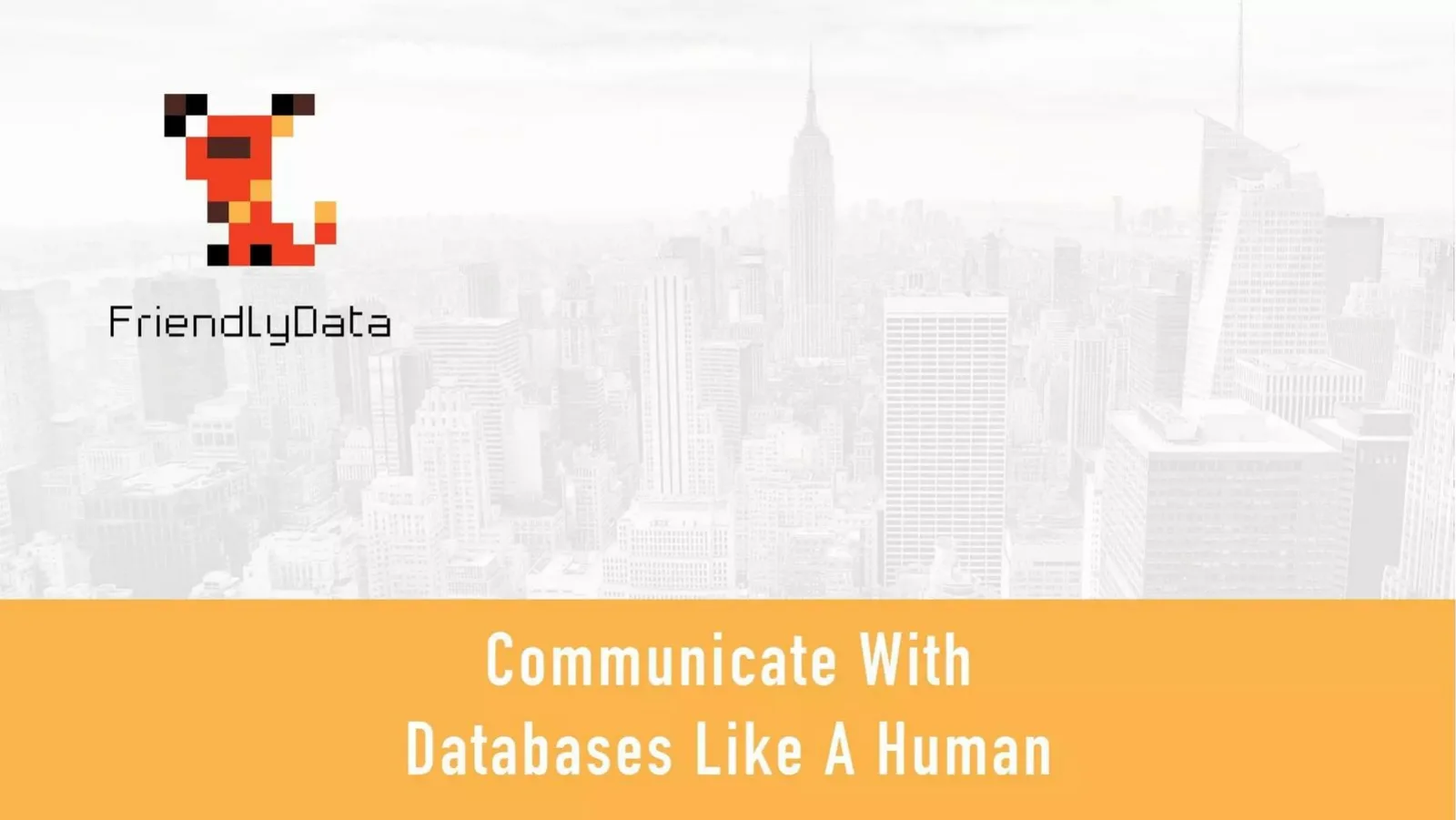 FriendlyData pitch deck slide