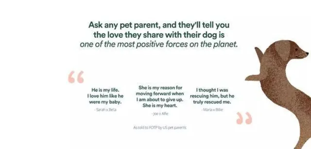 Reviews / testimonials / feedback slide 2 from Front Of The Pack