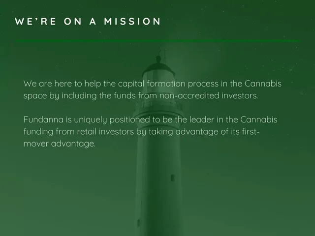 Vision slide 2 from Fundanna Inc
