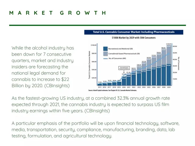 Market sizing / opportunity slide 5 from Fundanna Inc