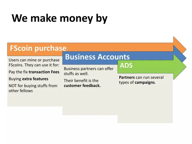 Business model / revenue streams slide 8 from FunkySwap