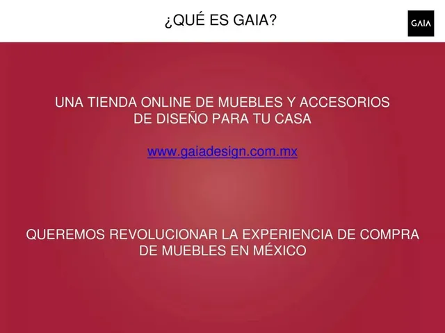 Company overview slide 4 from Gaia Design