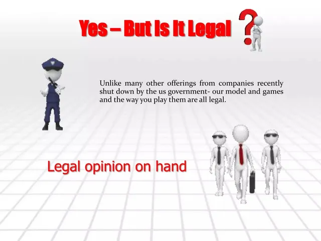 Disclaimer slide 9 from Game Face Gaming