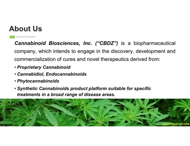 Company overview slide 2 from Cannabinoid Biosciences