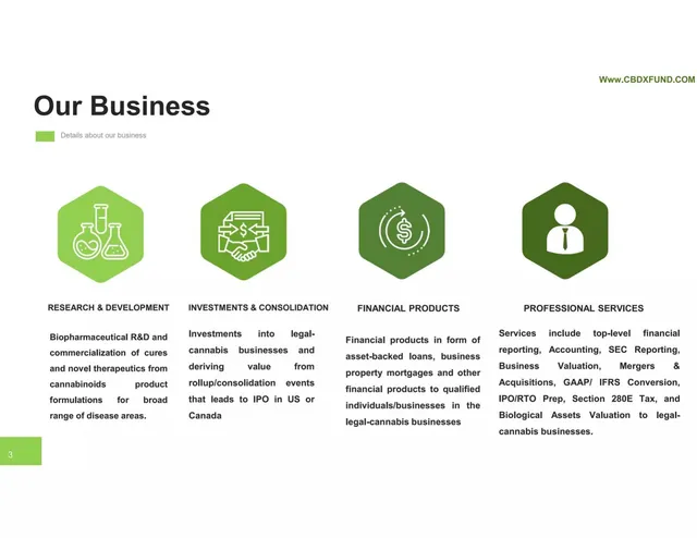 Company overview slide 3 from Cannabinoid Biosciences