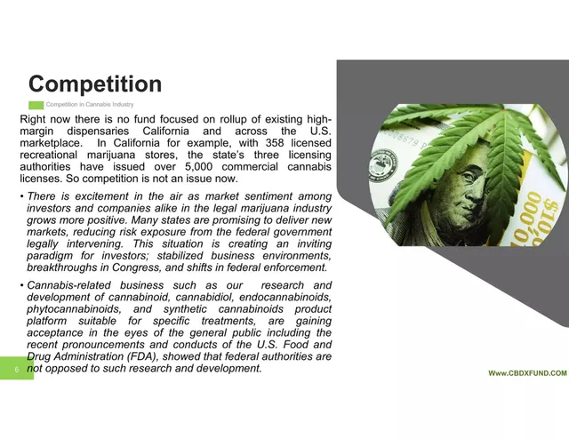 Market analysis / overview slide 6 from Cannabinoid Biosciences