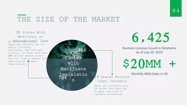 Market analysis / overview slide 5 from GO GO CANNABIZ