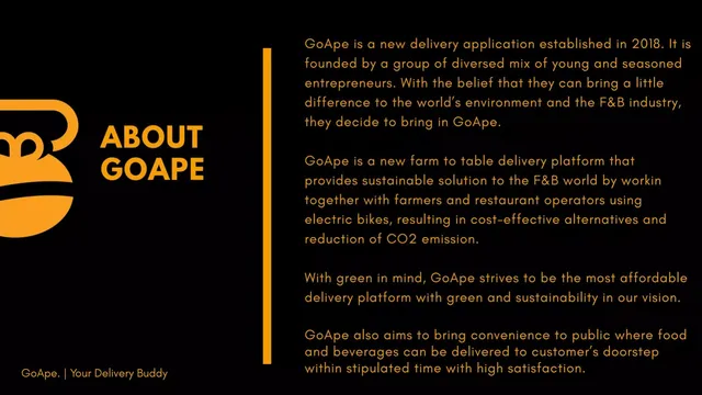 Company overview slide 4 from GoApe ECF