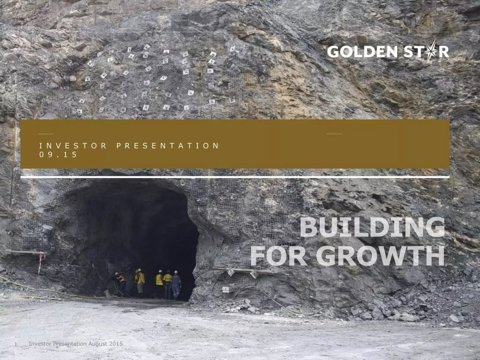 Golden Star pitch deck slide