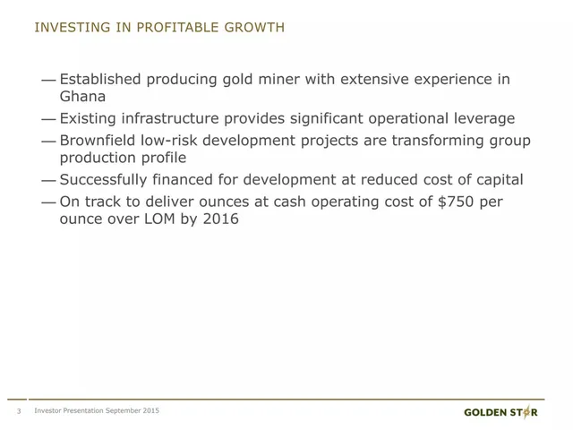 Company overview slide 3 from Golden Star