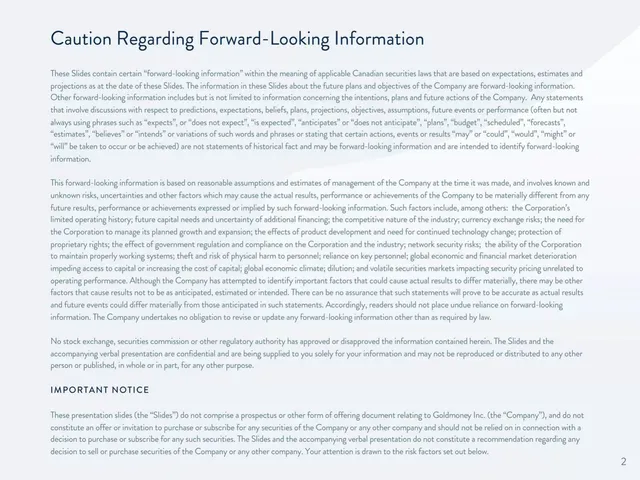 Disclaimer slide 2 from Goldmoney