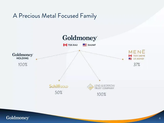 Company overview slide 4 from Goldmoney