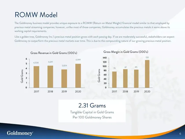 Financials slide 6 from Goldmoney