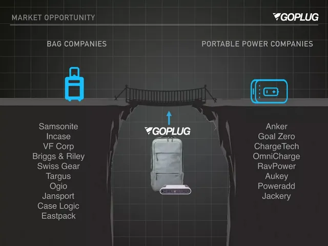 Competitors slide 5 from GoPlug