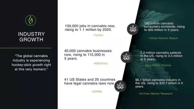 Market sizing / opportunity slide 3 from Green Flower Media