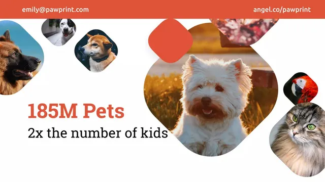 Market sizing / opportunity slide 4 from Pawprint (Green Pet Care)