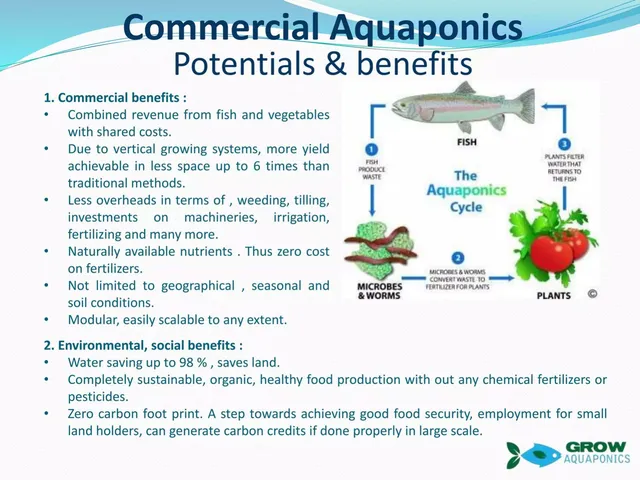 Grow Aquaponics pitch deck cover