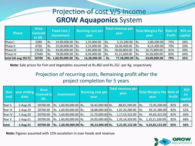 Financials slide 4 from Grow Aquaponics