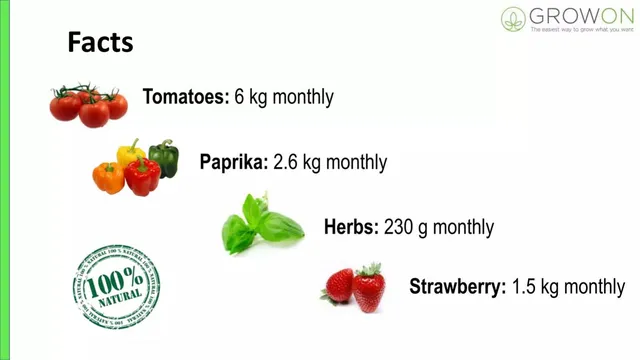Product / solution slide 4 from GrowOn