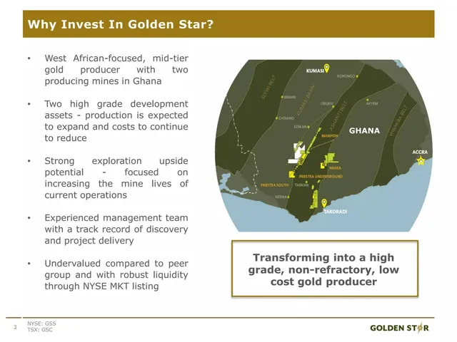 Company overview slide 3 from GSR (Golden Star Resources)
