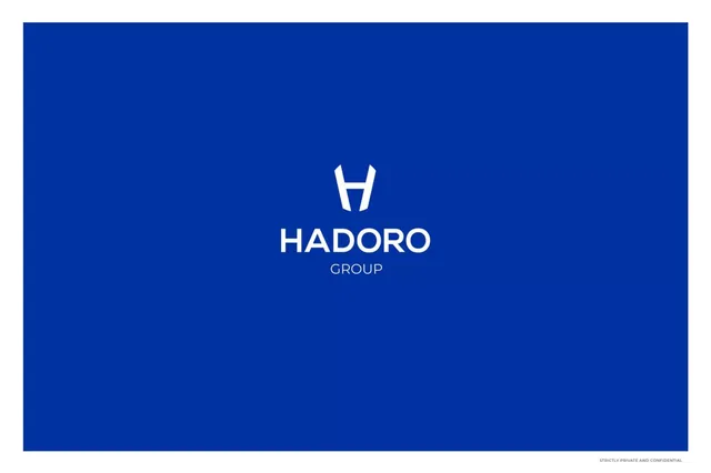 Hadoro Group pitch deck cover