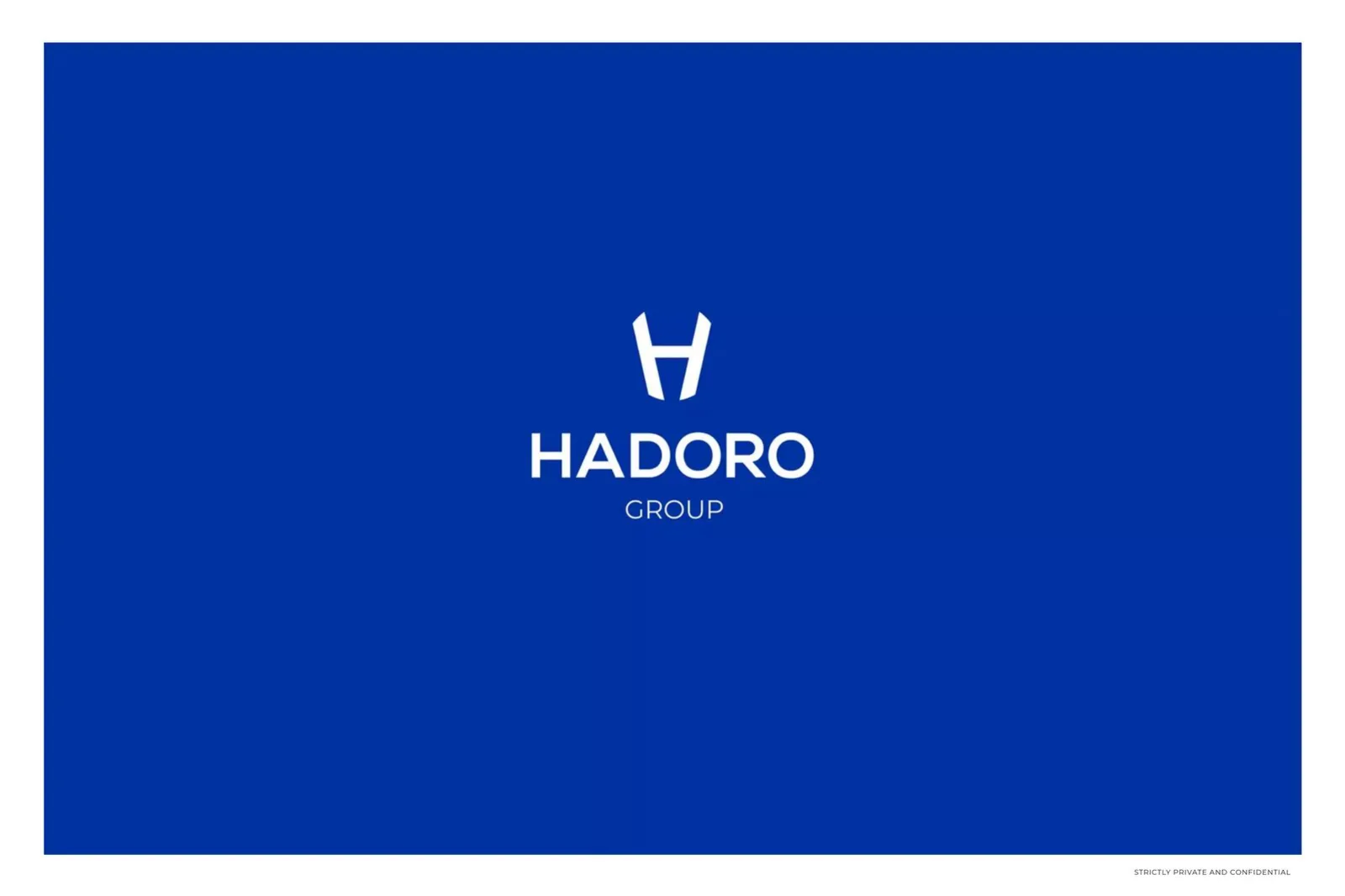Hadoro Group pitch deck slide