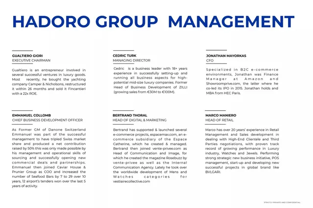 Team slide 7 from Hadoro Group
