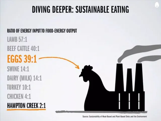 Other slide 14 from Hampton Creek (now Eat Just, Inc.)
