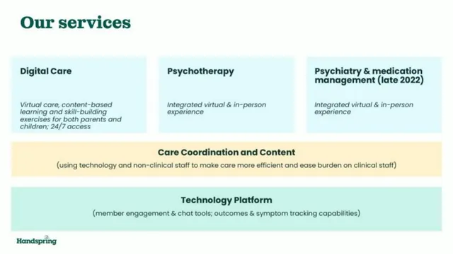 Product / solution slide 10 from Handspring Health