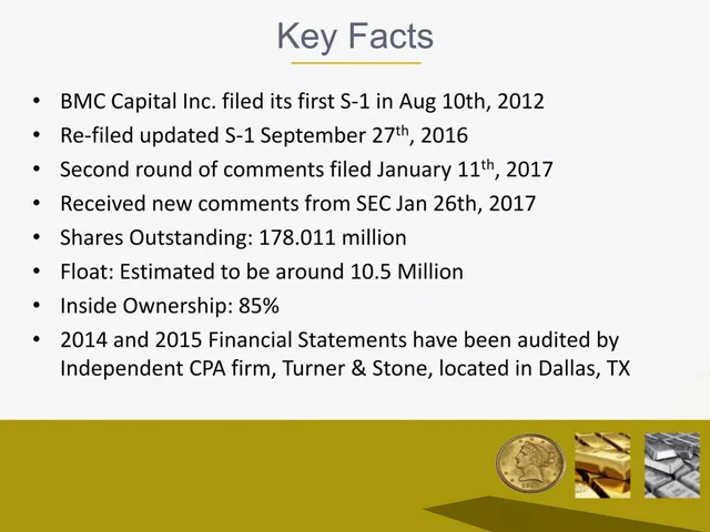 Company overview slide 5 from Hard Asset Management, Inc.