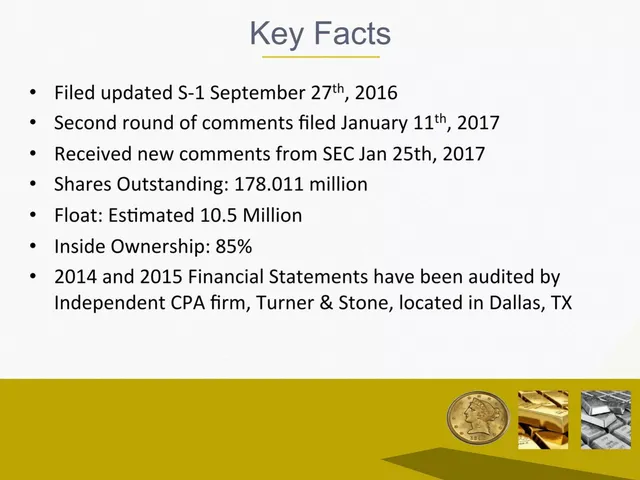 Company overview slide 5 from Hard Assets Management BMC