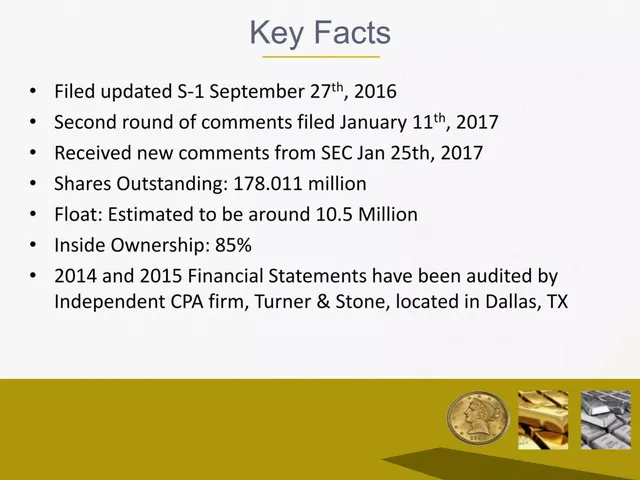 Company overview slide 5 from Hard Assets Management, Inc.